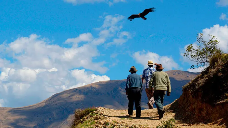 Chonta Condor Viewpoint